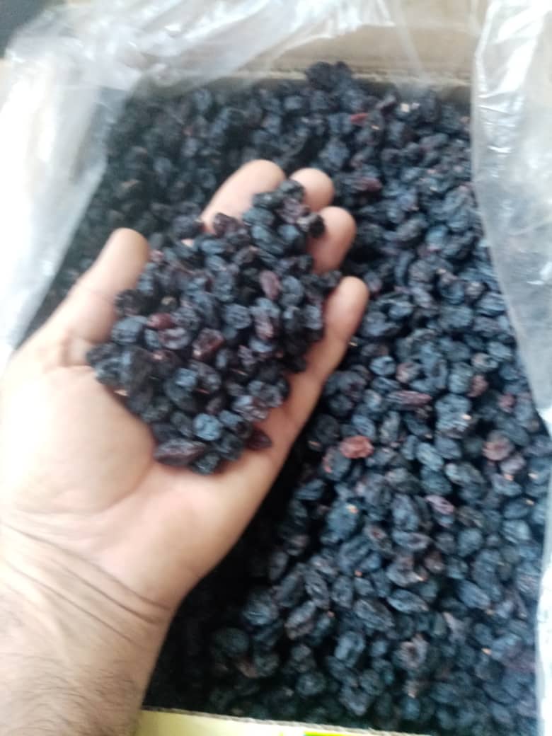 ارزان ترین مویز بیدانه خنداب + لیست قیمت