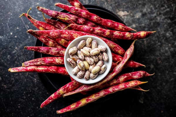 تصویر 4 از لوبیا چیتی خمین + دانه ‌های یک ‌دست تازه