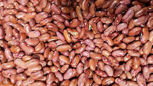 تصویر 2 از لوبیا چیتی همدان با طعم اصیل ایرانی