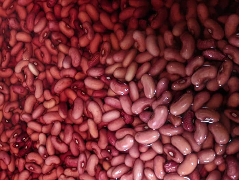 تصویر 3 از لوبیا چیتی شمال با کیفیت مطلوب عالی