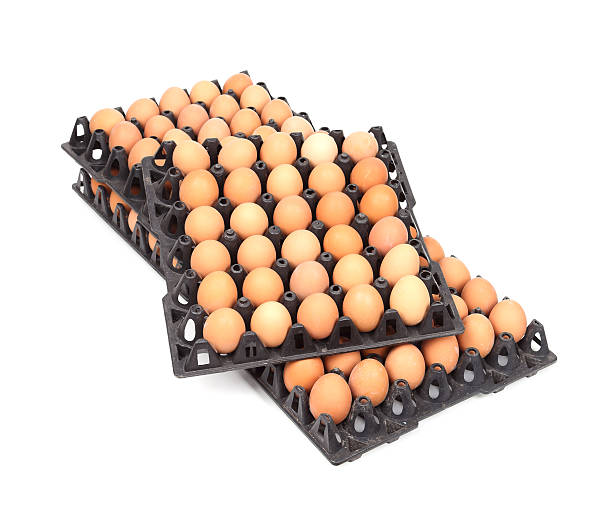 تصویر 1 از شانه تخم مرغ پلاستیکی شفاف مقاوم نگهداری آسان