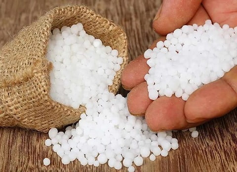 تصویر 4 از اوره گرانول شیراز خلوص بالا و بازدهی موثر کشاورزی