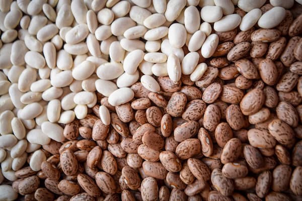 تصویر 3 از لوبیا چیتی محلی مغزی و سالم