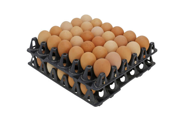 تصویر 5 از شانه تخم مرغ پلاستیکی شفاف مقاوم نگهداری آسان