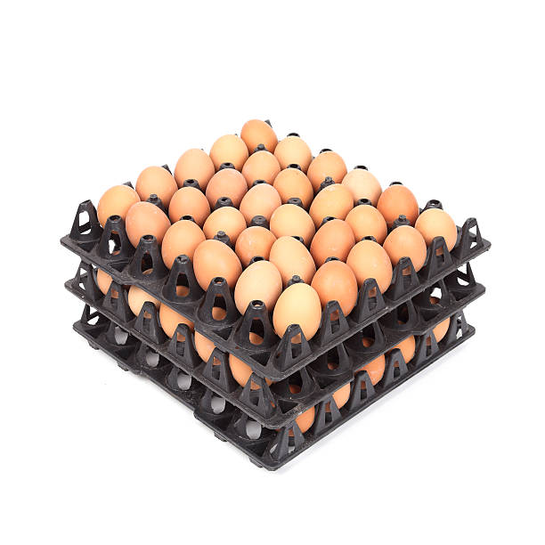 تصویر 4 از شانه تخم مرغ پلاستیکی شفاف مقاوم نگهداری آسان