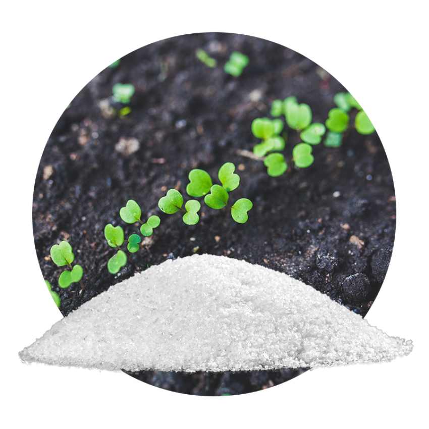 قیمت مستقیم کود هیدروژل از تولید کننده به کشاورزی