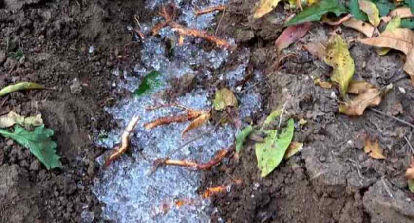 قیمت کود هیدروژل جهت کاهش مصرف آب و افزایش عملکرد