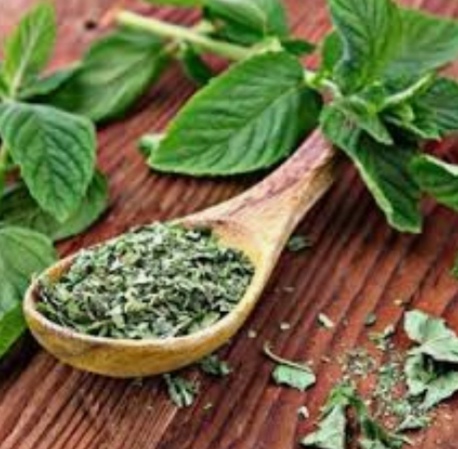 خرید نعنا خشک بلغور + قیمت عمده