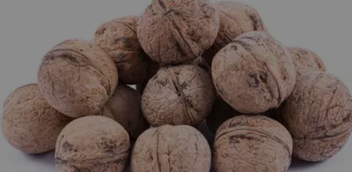 گردو پوست کاغذی + خرید به صرفه