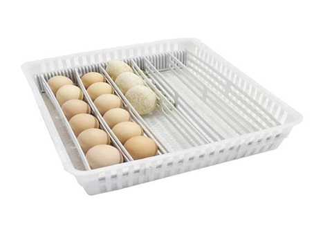 تصویر 4 از شانه تخم مرغ دستگاه جوجه کشی دقیق ایمن عملکرد بالا