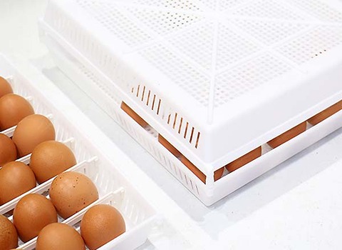 تصویر 1 از شانه تخم مرغ دستگاه جوجه کشی دقیق ایمن عملکرد بالا