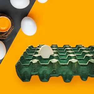 تصویر 4 از شانه تخم مرغ رنگی فانتزی جذاب مناسب چیدمان