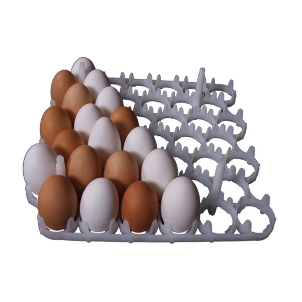 تصویر 1 از شانه تخم مرغ جوجه کشی صنعتی مقاوم نگهداری ایمن