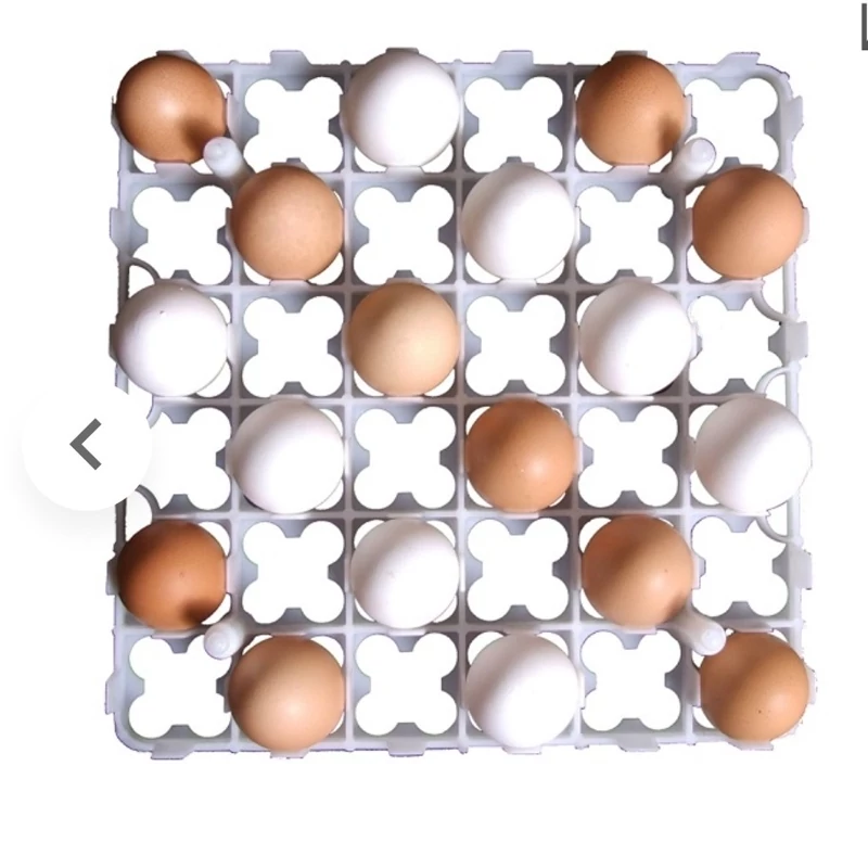 تصویر 2 از شانه تخم مرغ جوجه کشی صنعتی مقاوم نگهداری ایمن