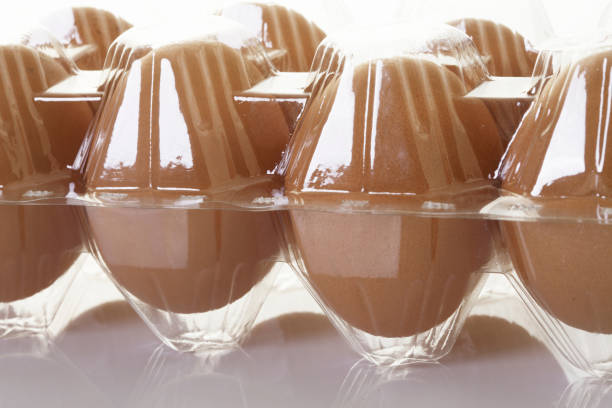 تصویر 4 از شانه تخم مرغ درب دار محکم ایمن حمل آسان