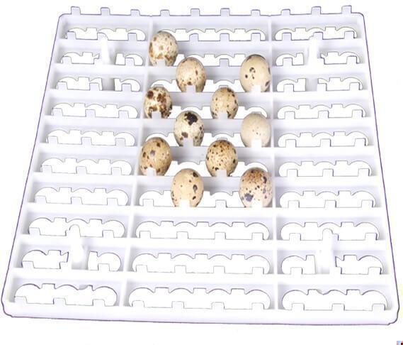 شانه تخم بلدرچین دستگاه جوجه کشی استاندارد ایمن عملکرد دقیق