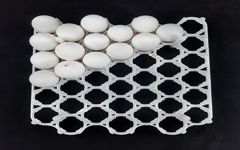 شانه تخم مرغ