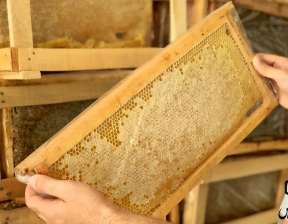 خرید آسان عسل با شان زایگر + قیمت به صرفه