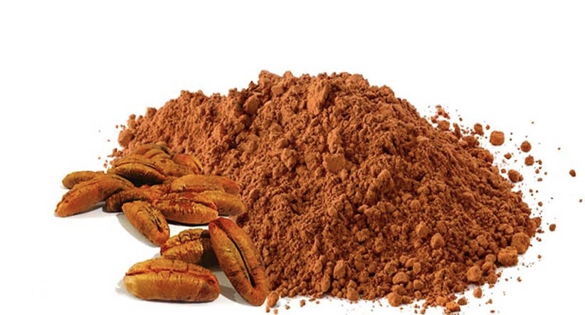 تصویر 5 از پودر هسته خرما ممتاز با عطر ملایم و طعمی دلنشین از نخلستان‌ های جنوب