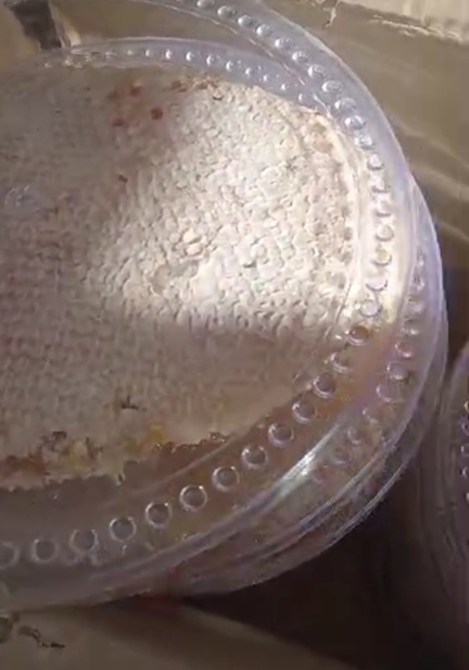 خرید و فروش اقتصادی عسل قابی زایگر