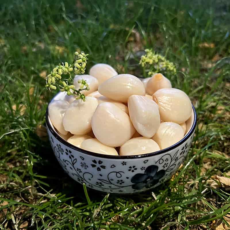 سیر مرواریدی ارگانیک با کیفیت بالا