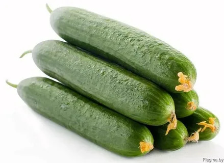 تصویر 2 از خیار سالادی بزرگ معطر باغی اصیل