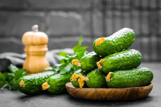 تصویر 1 از خیار سالادی رفسنجانی خوش‌ طعم و طبیعی