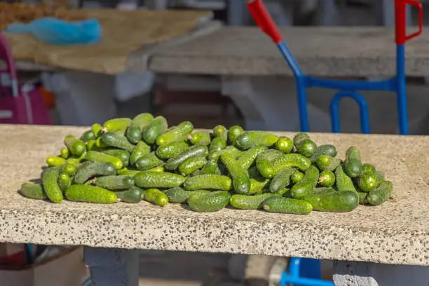 تصویر 2 از خیار سالادی رفسنجانی خوش‌ طعم و طبیعی