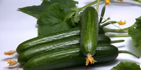 تصویر 2 از خیار سالادی درشت خوشمزه