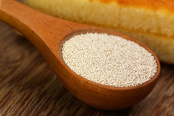 خمیر مایه مخمر خشک فعال برای پف عالی و عطر نان تازه