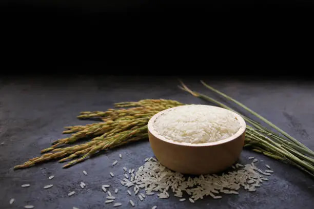 برنج ایرانی جنوب با طعم اصیل و عطر طبیعی