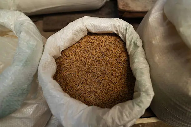 برنج ایرانی قهوه‌ ای طبیعی سرشار از فیبر و مواد مغذی