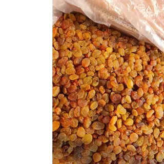 کشمش طلایی پلویی عالی و خوش رنگ