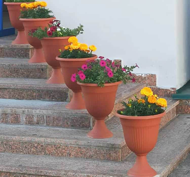 گلدان پلاستیکی پایه‌ دار + زیبا و پر کار برد در دکور خانه