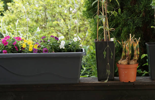 گلدان پلاستیکی مستطیلی یک‌ متری مخصوص نرده بالکن و سبزی‌ کاری