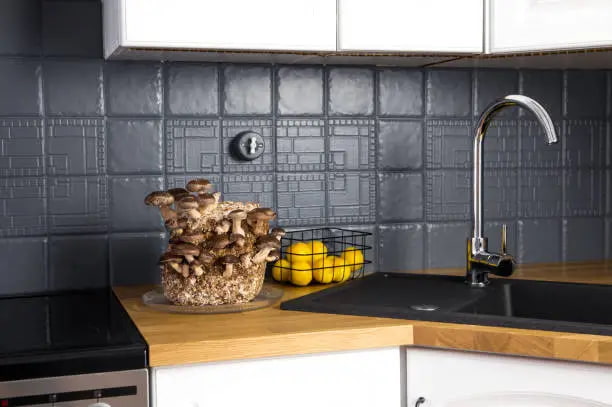 دیوار پوش چسبی آشپزخانه با طراحی مقاوم در برابر رطوبت