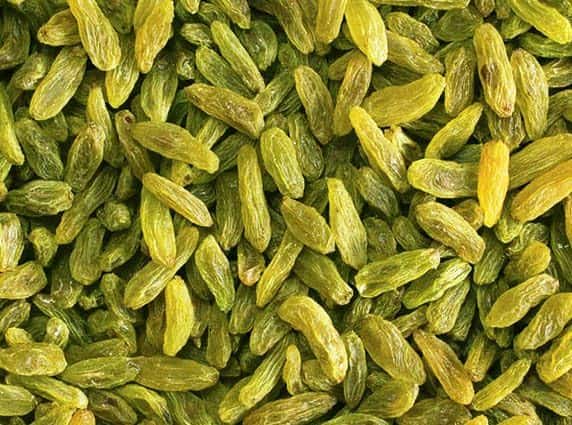 کشمش سبز عمده بسته بندی شده