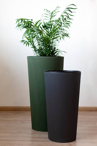 گلدان پلاستیکی استوانه بلند مخصوص گیاهان ریشه‌ دار دکور مدرن