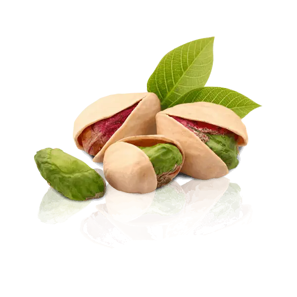 پسته تازه خام طعمی که دل‌ها را شاد می‌کند