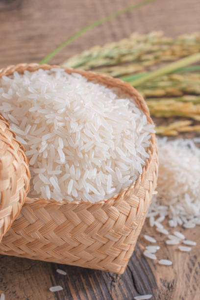 قیمت ویژه برنج عنبر بو خالص + تخفیف محدود برداشت اول خوزستان