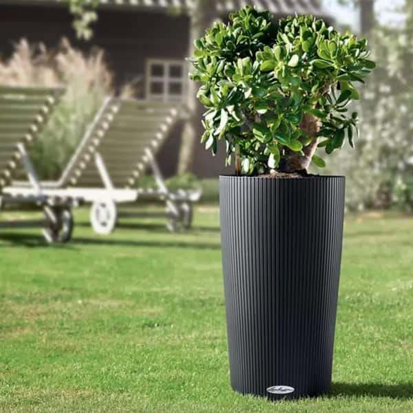 گلدان پلاستیکی استوانه ای بلند مخصوص گیاهان ریشه‌ دار آپارتمانی