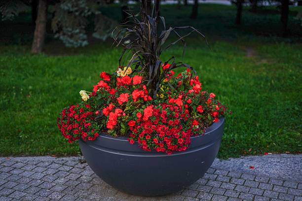 گلدان پلاستیکی گرد بزرگ مناسب گیاهان آپارتمانی و بزرگ