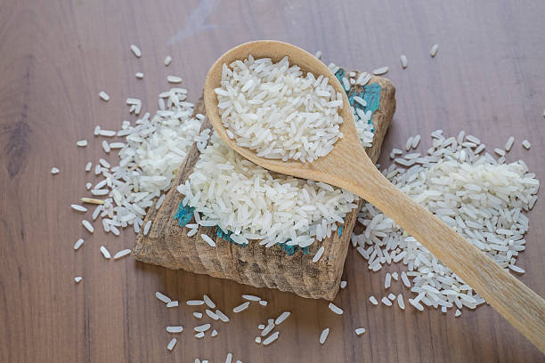 قیمت خرید برنج عنبر بو خوزستان تازه برداشت شده از مزارع شوشتر