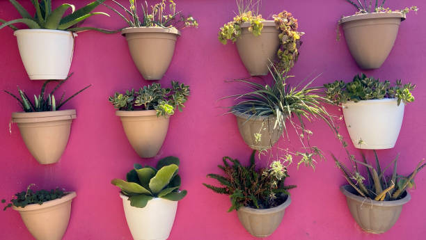 گلدان‌ های پلاستیکی دیواری ایجاد دیوار سبز خانه