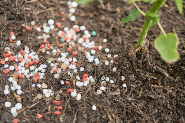 تصویر 4 از کود شیمیایی اوره خالص با درصد نیتروژن بالا