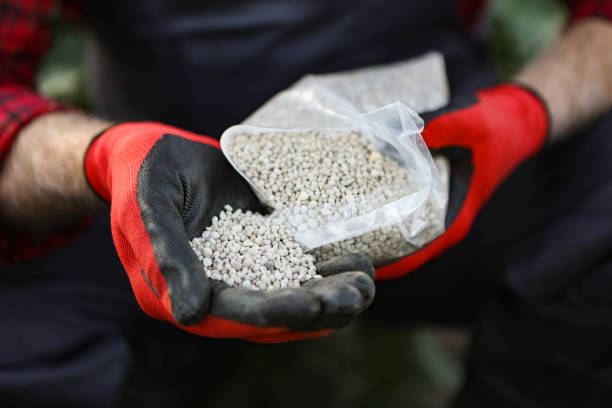 تصویر 3 از کود شیمیایی اوره خالص با درصد نیتروژن بالا