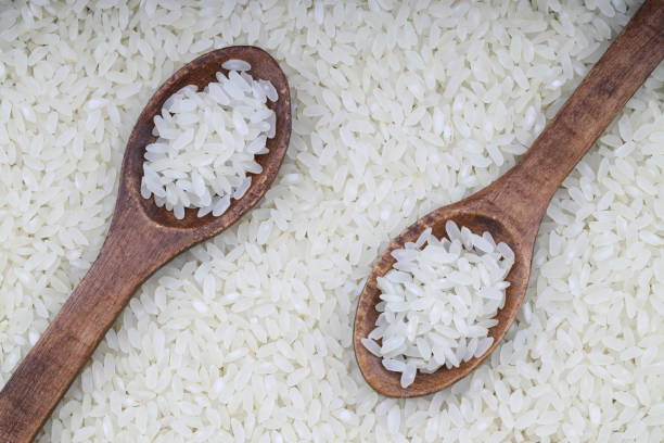 تخفیف ویژه برای خرید برنج کامفیروز خوش عصر و اصل