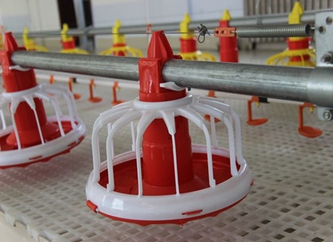 تصویر 1 از خرید و قیمت ویژه دانخوری بشقابی اتوماتیک