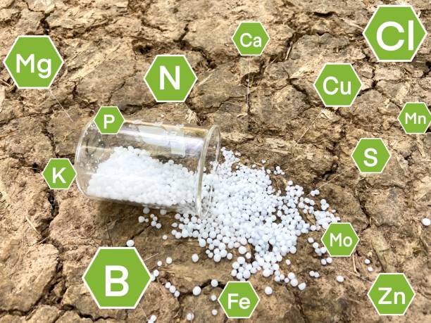 تصویر 4 از کود شیمیایی اوره سفید مرغوب با افزایش حاصلخیزی خاک