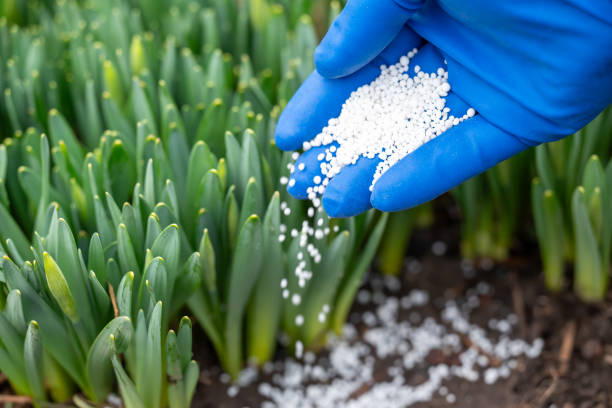 تصویر 3 از کود شیمیایی اوره کرمانشاه با حل‌ شوندگی عالی